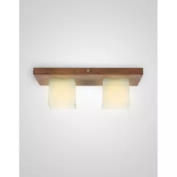 Потолочный светильник Мелодия Света SS1N 000036797