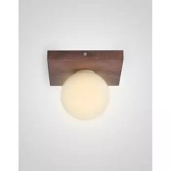 Потолочный светильник Мелодия Света SS1N 000036804