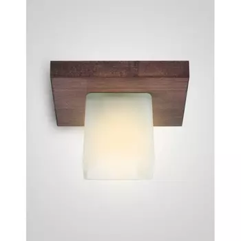 Потолочный светильник Мелодия Света SS1N 000036808