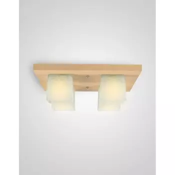 Потолочный светильник Мелодия Света SS1N 000036809