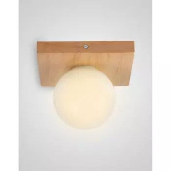 Потолочный светильник Мелодия Света SS1N 000036823