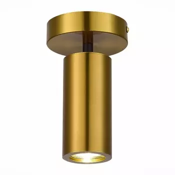 Потолочный светильник ST Luce Talia SL1215.402.01