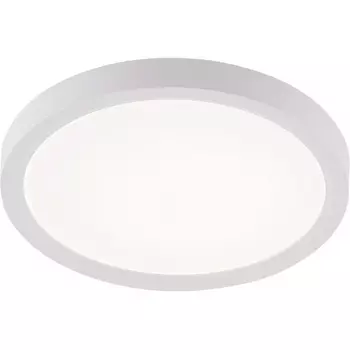 Потолочный светильник светодиодный 10W, белый Natali Kovaltseva Plain LED LAMPS 81113/1C