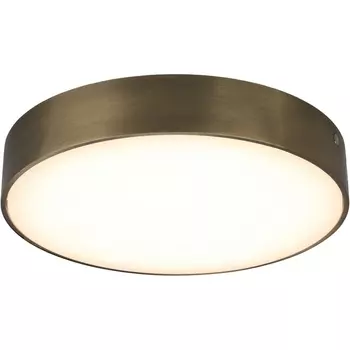 Потолочный светильник круглый светодиодный Aployt Evon APL.0113.29.24