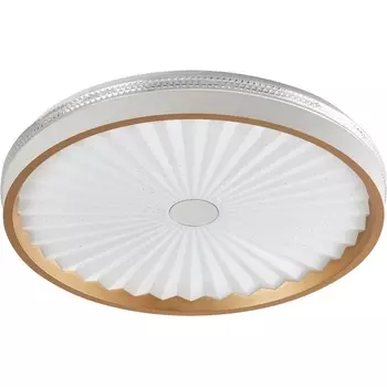 Потолочный светильник круглый светодиодный Arti Lampadari Bianco Bianco L 1.13.47 W