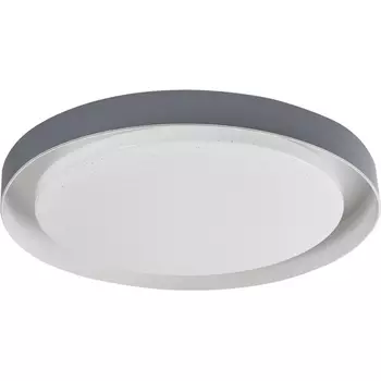 Потолочный светильник круглый светодиодный Arti Lampadari Vista Vista L 1.13.48 W