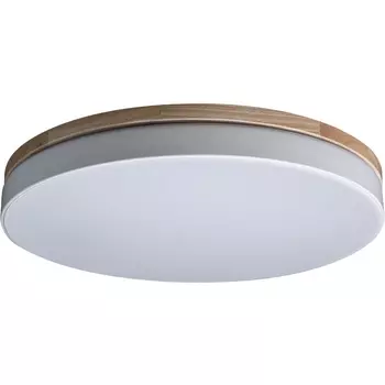 Потолочный светильник круглый светодиодный 10001/36 Loft It Axel White