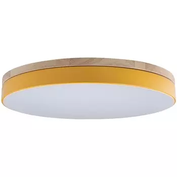 Потолочный светильник круглый светодиодный 10001/36 Yellow Loft It Axel