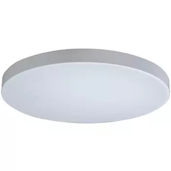 Потолочный светильник круглый светодиодный 10002/48 Loft It Axel White