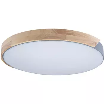 Потолочный светильник круглый светодиодный 10004/36 Loft It Axel Grey