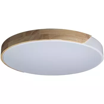 Потолочный светильник круглый светодиодный 10004/36 Loft It Axel White