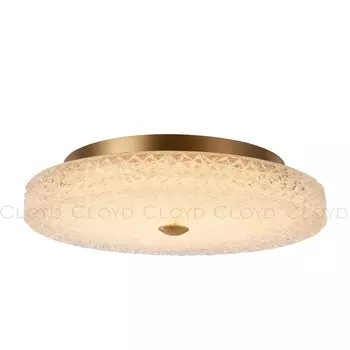 Потолочный светильник светодиодный Cloyd Acrux 10873