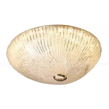 Потолочный светильник светодиодный Cloyd Manioсa 11509