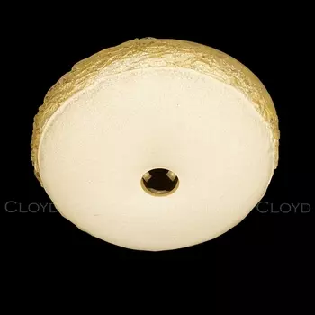 Потолочный светильник светодиодный Cloyd Nectar 11323