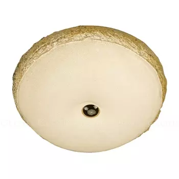 Потолочный светильник светодиодный Cloyd Nectar 11324