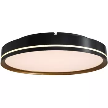 Потолочный светильник круглый светодиодный Delight Collection 0527 C0527-400A black/gold DeLight Collection