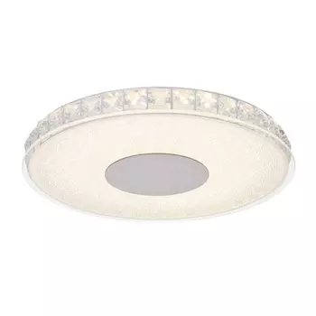 Потолочный светильник круглый светодиодный Globo Denni 49336-16R