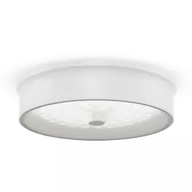 Потолочный светильник светодиодный диммируемый с пультом регулировкой цветовой температуры и яркости Freya Cells FR10011CL-L24W