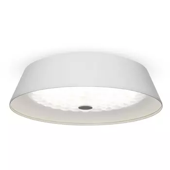 Потолочный светильник светодиодный диммируемый с пультом регулировкой цветовой температуры и яркости Cells FR10013CL-L24W RGB (Freya)