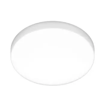 Потолочный светильник круглый светодиодный / Elektrostandard DLS043 DLR043