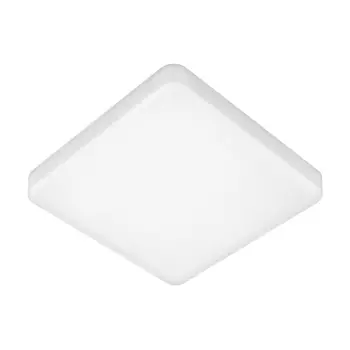 Потолочный светильник светодиодный / Elektrostandard DLS043 DLR043