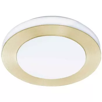 Потолочный светильник светодиодный Eglo Led Carpi 900369