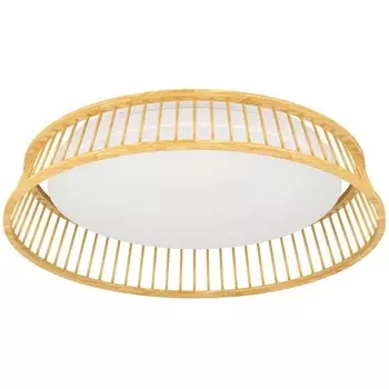 Потолочный светильник светодиодный Eglo LUPPINERIA 900797