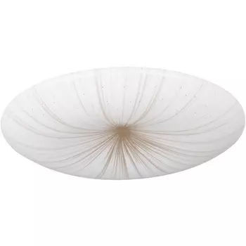 Потолочный светильник круглый светодиодный Eglo Nieves 1 900498