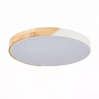 Потолочный светильник круглый светодиодный Evoluce Festa SLE200952-01