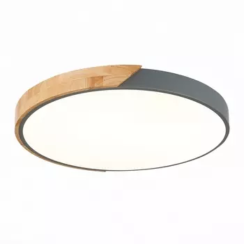 Потолочный светильник светодиодный Evoluce Festa SLE200972-01