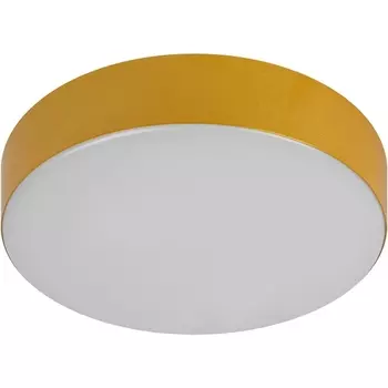 Потолочный светильник светодиодный ЭРА Relict 22 SPB-6-20 4К MG