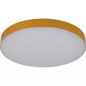 Потолочный светильник круглый светодиодный ЭРА Relict 38 SPB-6-40 4К MG