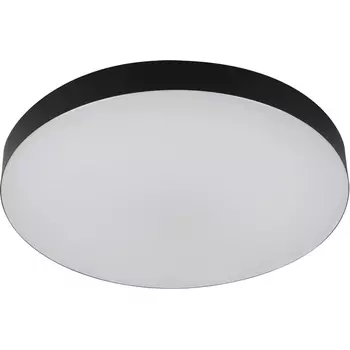 Потолочный светильник круглый светодиодный ЭРА Relict 48 SPB-6-60 4К BK