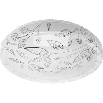 Потолочный светильник светодиодный ЭРА SPB-6-50-6,5K Syuzi