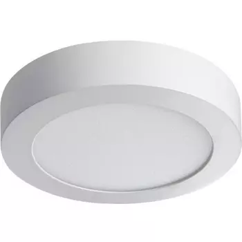 Потолочный светильник круглый светодиодный Kanlux CARSA 28948