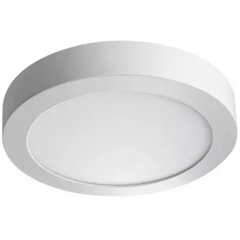 Потолочный светильник круглый светодиодный Kanlux CARSA 28949