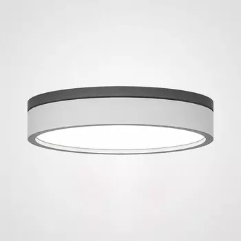 Потолочный светодиодный светильник круглый Kier D30 White ImperiumLoft Kier01 (101707-26)