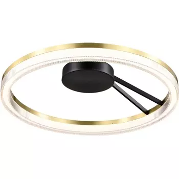 Потолочный светильник круглый светодиодный Lightstar Rotonda 736040