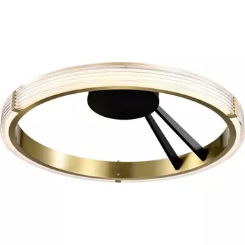 Потолочный светильник круглый светодиодный Lightstar Rotonda 736041