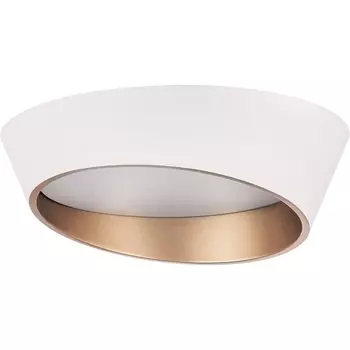 Потолочный светильник круглый светодиодный Lightstar Celesta 809456