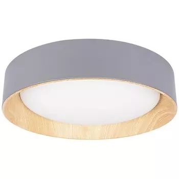 Потолочный светильник круглый светодиодный Loft It Coin 10202 Grey