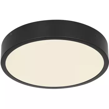 Потолочный светильник круглый светодиодный Globo Lucena 12368-22