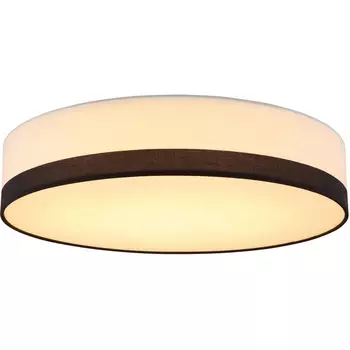 Потолочный светильник светодиодный Maggy 15385D2 (Globo)