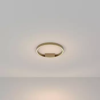 Потолочный светильник светодиодный Maytoni Rim MOD058CL-L25BS3K