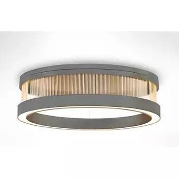 Потолочный светильник круглый светодиодный Mizi'en Monik MZ197077-1-600P