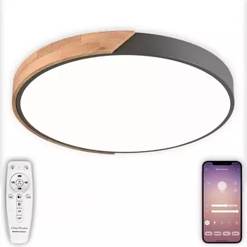Потолочный светильник светодиодный Natali Kovaltseva Scandinavian LED LAMPS 81183 с пультом ДУ, моб. приложением 120W, серый, LED