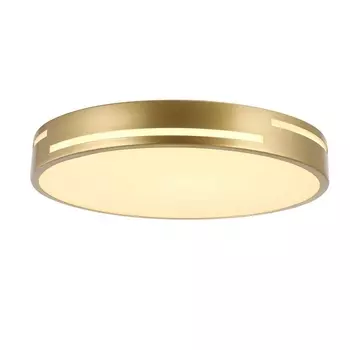 Потолочный светильник светодиодный F-Promo Pall 2745-2C