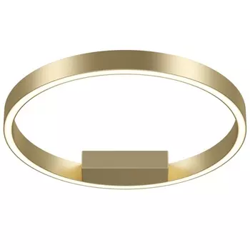 Потолочный светильник светодиодный Maytoni Rim MOD058CL-L25BS4K