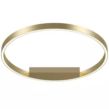 Потолочный светильник светодиодный Maytoni Rim MOD058CL-L35BS4K