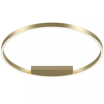 Потолочный светильник светодиодный Maytoni Rim MOD058CL-L50BS4K